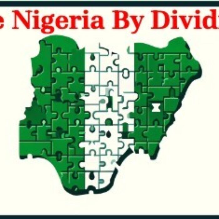 Competitive Federalism: A Proposal To Unite Nigeria By Dividing It 